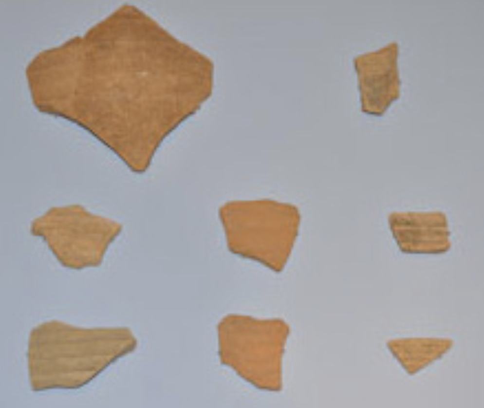 amphora fragments